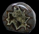 Calcite Crystal Filled Septarian Geode - Utah #37235-1